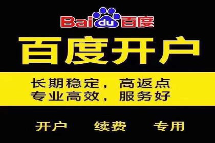 某大型企业选择SEM竞价代运营公司的决策过程与效果评估